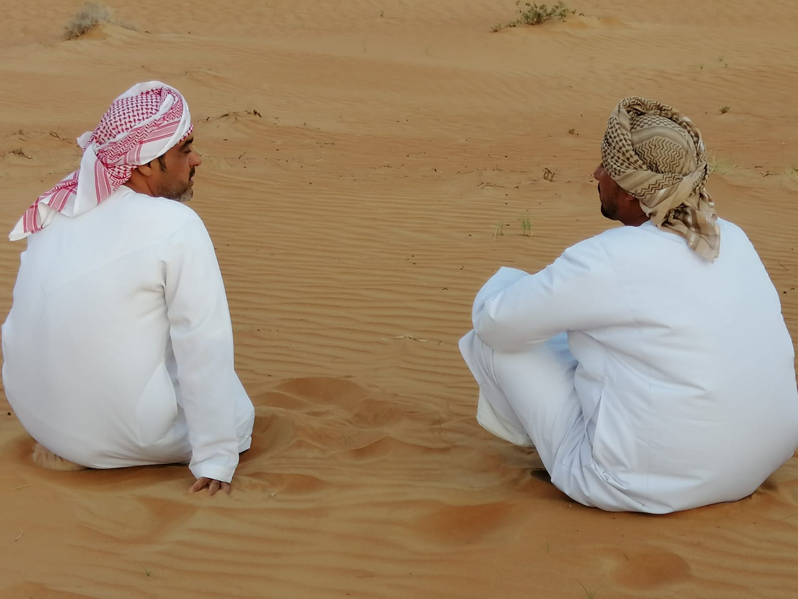 beduini nel deserto