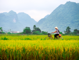 Vietnam in bicicletta!