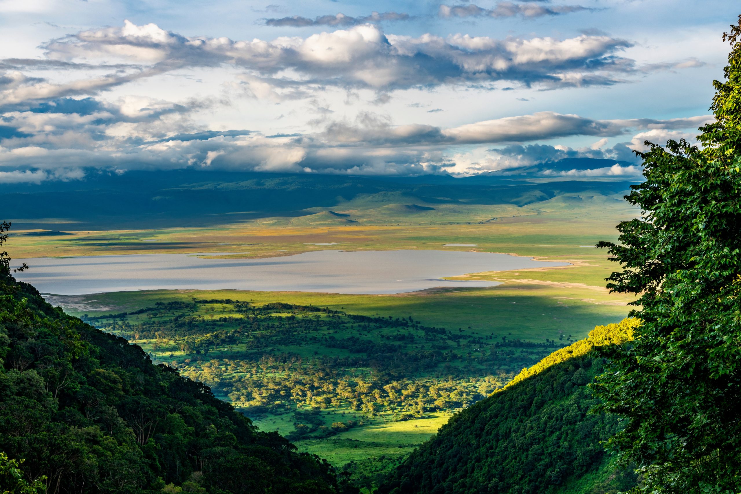 Cratere di Ngorongoro
